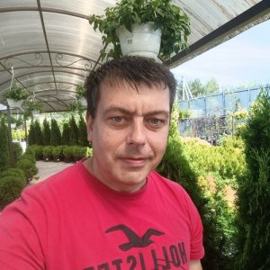 Владимир , 41 год