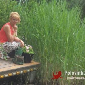 Елена , 52 года