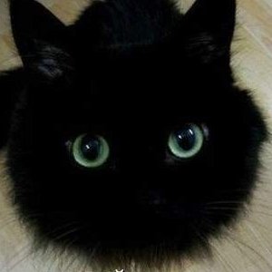 Александр , 43 года