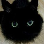 Александр, 43 года