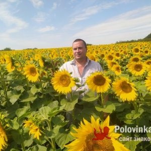 Владимир , 49 лет
