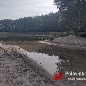 Nell , 33 года
