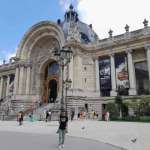 Саша Камлык: 