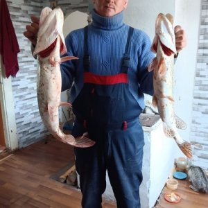 Павел , 36 лет