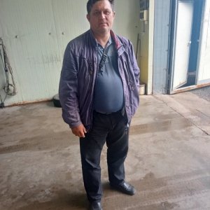 Алексей , 52 года