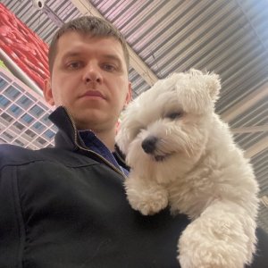 Игорь , 32 года