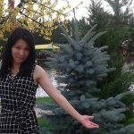 Асель, 38 лет