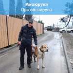Андрей, 43 года