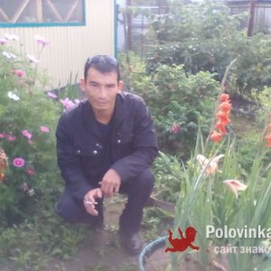 Виталик , 43 года
