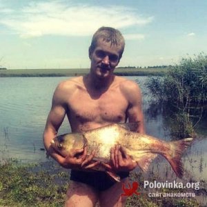 Александр , 33 года