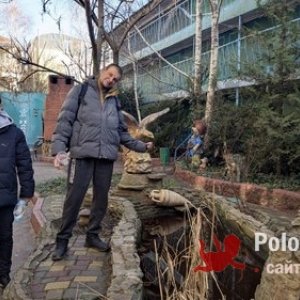 Антон Ant, 37 лет