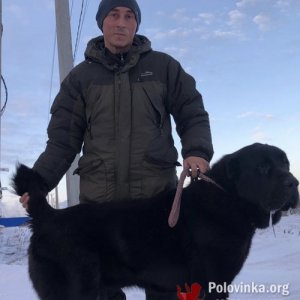 Александр , 45 лет