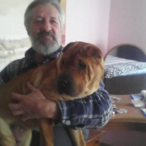 Сергей , 62 года