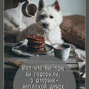Александр , 62 года