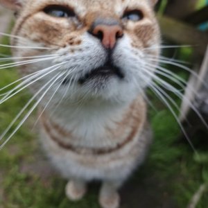 Сергей , 45 лет