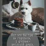 Александр : 