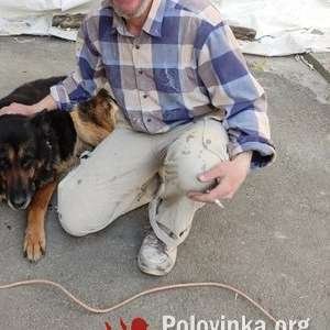 Сергей , 53 года