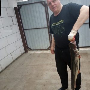 Сергей , 53 года
