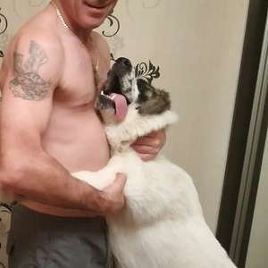 Максим , 46 лет