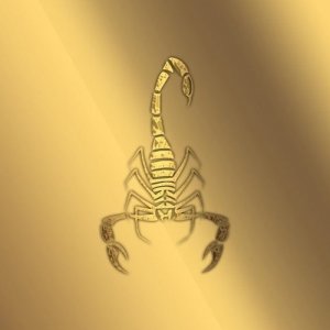 Timur , 38 лет