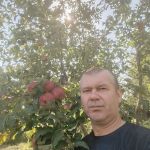 Алексей : 