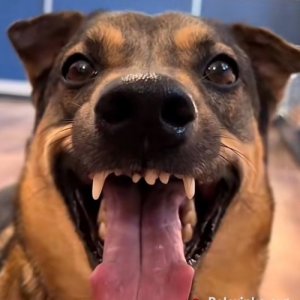 Дима , 33 года