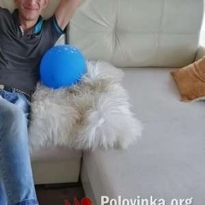 Евгений , 35 лет