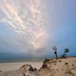 Тотсамый ВсеИтакЗнают: 