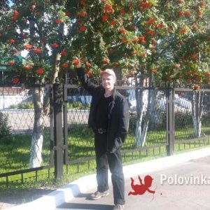 Евгений , 55 лет