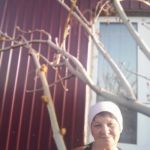 Валентина : 