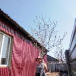 Валентина : 