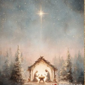 Михаил , 68 лет