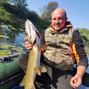 Геннадий , 35 лет