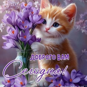 Сергей , 37 лет