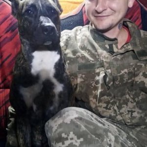 Ваня , 32 года