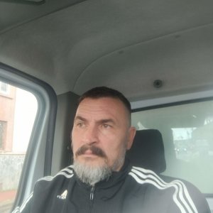 Бинго , 50 лет