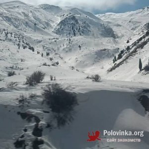 Farhod , 42 года