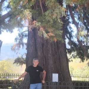 Дмитрий , 39 лет