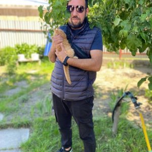 Ванька , 37 лет