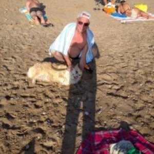 Александр , 68 лет