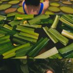 Елена Петренкро Петренко: 