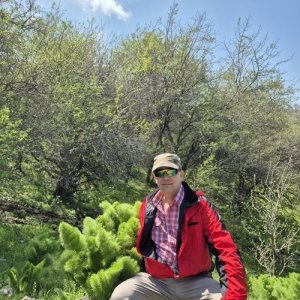 Сергей , 60 лет