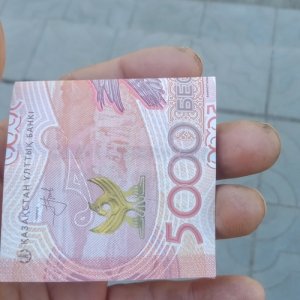 Николай , 37 лет