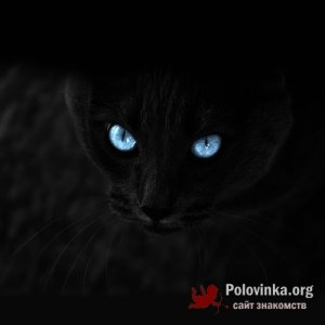 МАКСИМ , 44 года