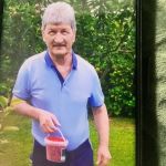 Робертино : 