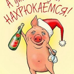 Igor , 54 года