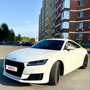 Артем , 31 год