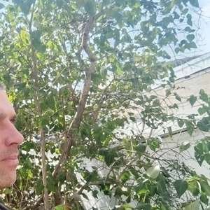 Вячеслав , 41 год