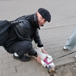 Никита , 33 года