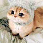 Алекс : 